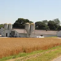 <em class="placeholder">Exploitation avicole bretonne.</em>