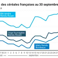 Cours des céréales françaises au 30 septembre 2021