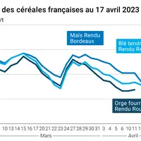 courbes prix céréales