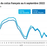 Cours du colza français