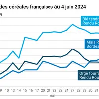 GRAPHiQUE : Cours des céréales françaises au 4 juin 2024