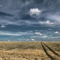 La France et d'autres pays européens voisins sont victimes de mauvaises conditions climatiques en cette période de moissons.