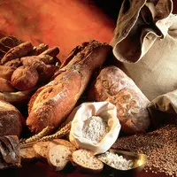 Débouchés du blé tendre : pains, farine