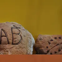 Boulangerie transformation des céréales, farine de froment, pain avec logo AB