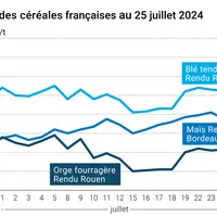 Graphe des prix du blé tendre, du maïs et de l'orge fourragère en France au 24 juillet