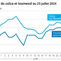 Graphe des prix du colza fob moselle et du tournesol rendu saint nazaire au 25 juillet 2024e