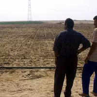cultures - irrigation dans le désert en Égypte