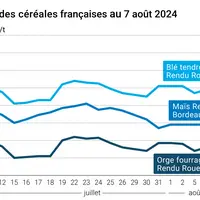 prix du blé tendre rendu Rouen, de l'orge fourragère rendu Rouen et du maïs rendu Bordeaux en juillet août 2024