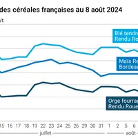 prix du blé tendre rendu Rouen, de l'orge fourragère rendu Rouen et du maïs rendu Bordeaux en juillet août 2024