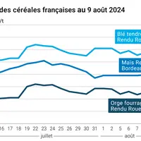 prix du blé tendre rendu Rouen, de l'orge fourragère rendu Rouen et du maïs rendu Bordeaux en juillet août 2024