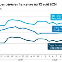 prix du blé tendre rendu Rouen, de l'orge fourragère rendu Rouen et du maïs rendu Bordeaux en juillet août 2024