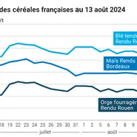 prix du blé tendre rendu Rouen, de l'orge fourragère rendu Rouen et du maïs rendu Bordeaux en juillet août 2024