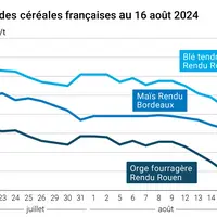 prix du blé rendu Rouen, du maïs rendu Bordeaux et de l'orge fourragère rendu Rouen