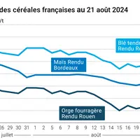 prix du blé tendre rendu Rouen, de l'orge fourragère rendu Rouen et du maïs rendu Bordeaux en juillet août 2024