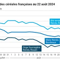 prix du blé rendu Rouen, du maïs rendu Bordeaux et de l'orge fourragère rendu Rouen