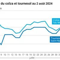 évolution des prix du colza fob Moselle et du tournesol rendu Saint Nazaire en juillet et août 2024