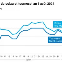 Prix du colza rendu Rouen et du tournesol rendu Saint Nazaire