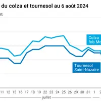 Prix du colza rendu Rouen et du tournesol rendu Saint Nazaire