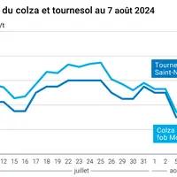Prix du colza rendu Rouen et du tournesol rendu Saint Nazaire