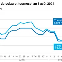 Prix du colza rendu Rouen et du tournesol rendu Saint Nazaire