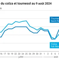 Prix du colza rendu Rouen et du tournesol rendu Saint Nazaire