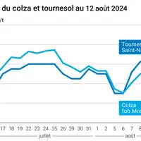 Prix du colza rendu Rouen et du tournesol rendu Saint Nazaire
