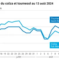 Prix du colza rendu Rouen et du tournesol rendu Saint Nazaire