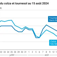 Prix du colza rendu Rouen et du tournesol rendu Saint Nazaire