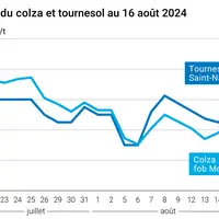 prix du tournesol rendu saint Nazaire et du colza rendu Rouen