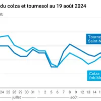 Prix du colza rendu Rouen et du tournesol rendu Saint Nazaire
