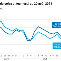 Prix du colza rendu Rouen et du tournesol rendu Saint Nazaire