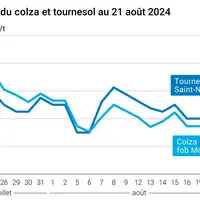 Prix du colza rendu Rouen et du tournesol rendu Saint Nazaire