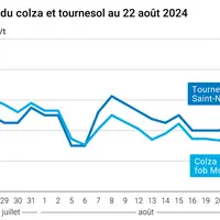 prix du tournesol rendu saint Nazaire et du colza rendu Rouen