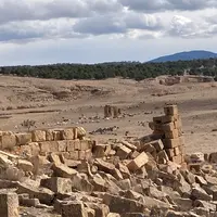 moutons au pâturage en tunisie, sécheresse, ruines romaines Haidra