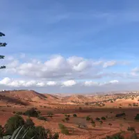 Paysage d'arganiers et d'oliviers et de terres labourées mais non semées au sud de Safi (Maroc) en janvier 2024