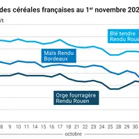 Graphique cours céréales françaises au 1er novembre 2024
