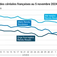 Graphique cours céréales françaises au 5 novembre 2024