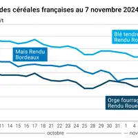 Graphique cours céréales françaises du 7 novembre 2024