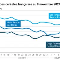 Graphique cours céréales françaises du 8 novembre 2024