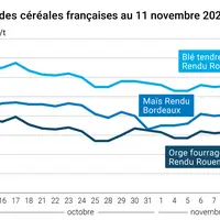 Graphique cours céréales françaises au 12 novembre 2024