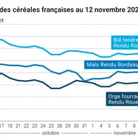 Graphique cours céréales françaises au 12 novembre 2024
