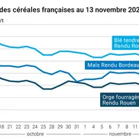 Graphique cours céréales françaises au 13 novembre 2024