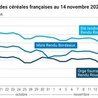 Graphique cours céréales françaises au 14 novembre 2024
