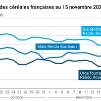 Graphique cours céréales françaises au 15 novembre 2024