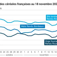 Graphique cours céréales françaises au 18 novembre 2024