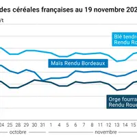 Graphique cours céréales françaises au 19 novembre 2024
