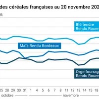 Graphique cours céréales françaises au 20 novembre 2024