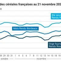 Graphique cours céréales françaises au 21 novembre 2024