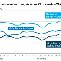 Graphique cours céréales françaises au 22 novembre 2024