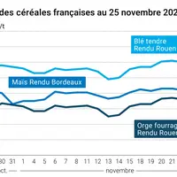Graphique cours céréales françaises au 25 novembre 2024